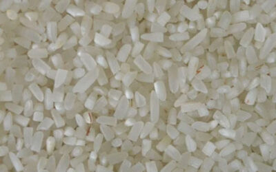 Broken Rice