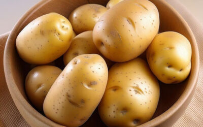 Potato