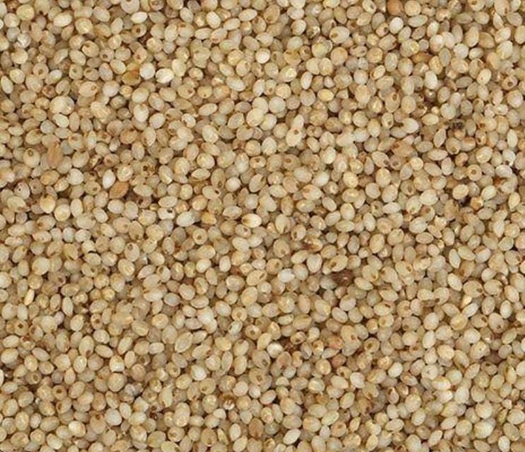 Brown Top Millet (Korle)