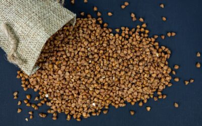 Buckwheat