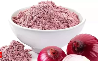Dehydrated Red Onion Powder