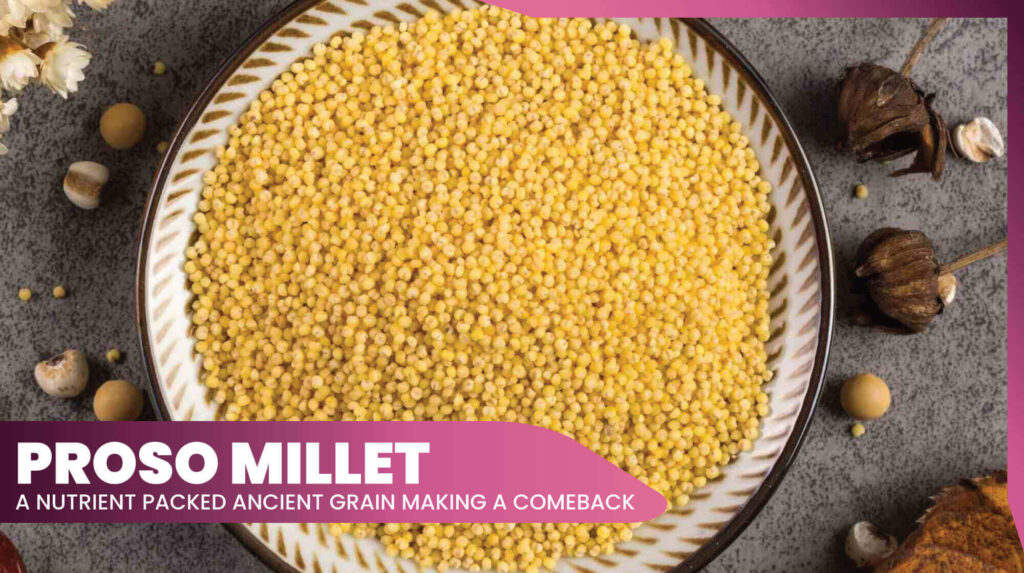Proso Millet (Chena/Barri)