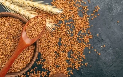 Sorghum-Millet
