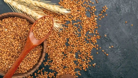 Sorghum-Millet