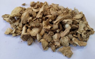 dehydrated-ginger-flakes
