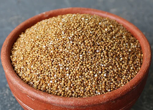 Barnyard Millet (Sanwa)